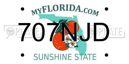 707NJD Florida License Plate