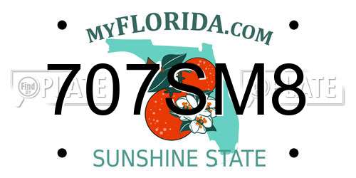 707SM8 Florida License Plate