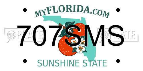 707SMS Florida License Plate