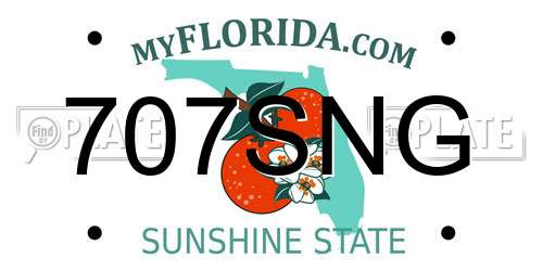 707SNG Florida License Plate