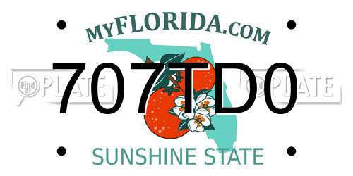707TD0 Florida License Plate