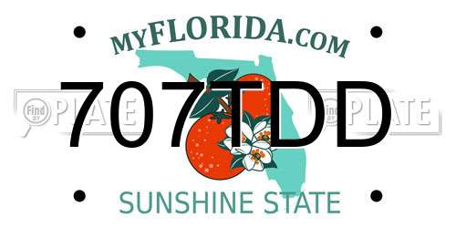 707TDD Florida License Plate