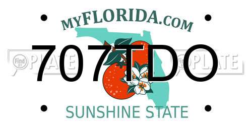 707TDO Florida License Plate