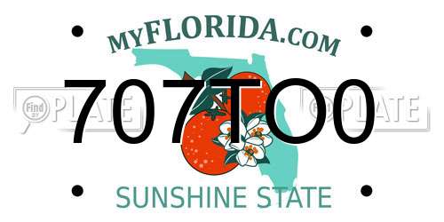 707TO0 Florida License Plate