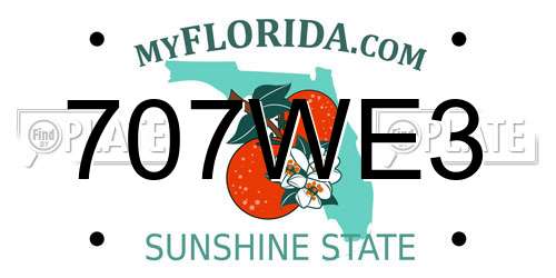707WE3 Florida License Plate
