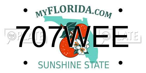 707WEE Florida License Plate