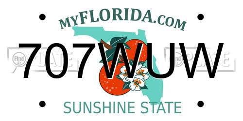 707WUW Florida License Plate