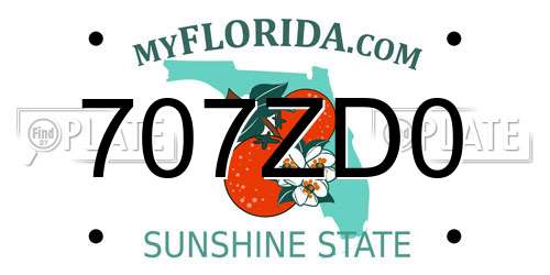 707ZD0 Florida License Plate