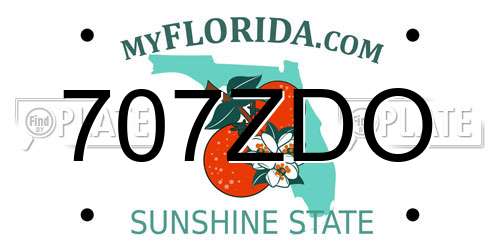 707ZDO Florida License Plate