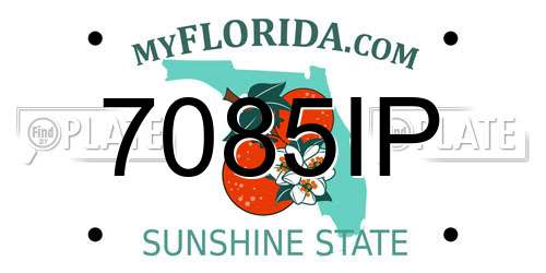7085IP Florida License Plate