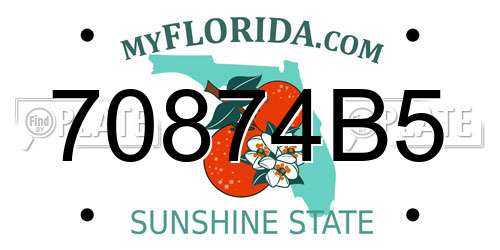 70874B5 Florida License Plate