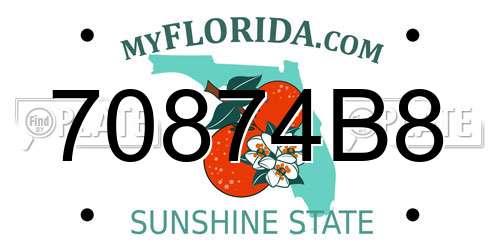 70874B8 Florida License Plate