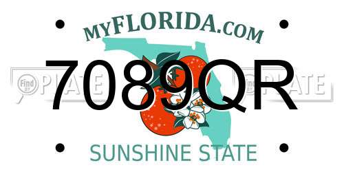 7089QR Florida License Plate
