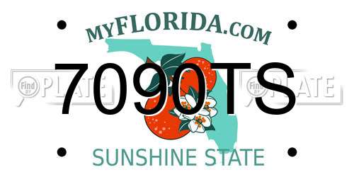 7090TS Florida License Plate