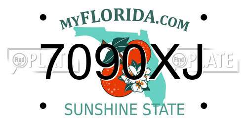 7090XJ Florida License Plate