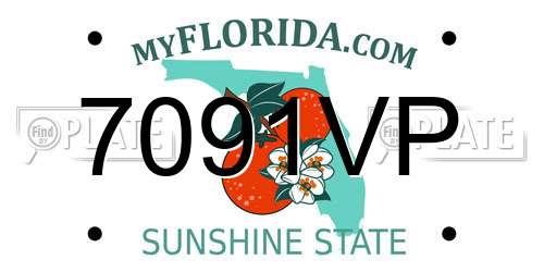 7091VP Florida License Plate