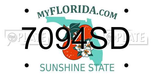 7094SD Florida License Plate