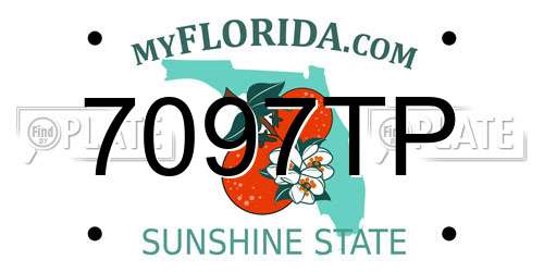 7097TP Florida License Plate