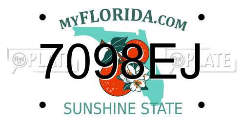 7098EJ Florida License Plate