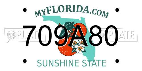 709A80 Florida License Plate