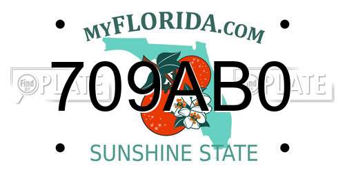 709AB0 Florida License Plate