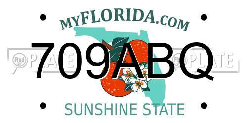 709ABQ Florida License Plate