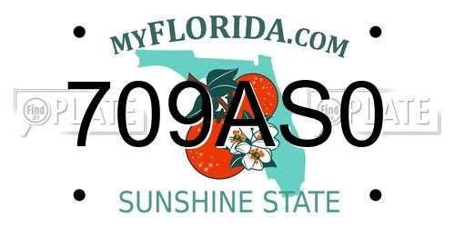 709AS0 Florida License Plate