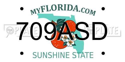 709ASD Florida License Plate