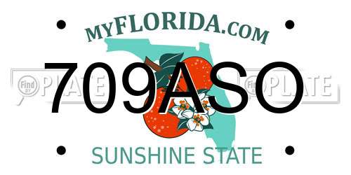 709ASO Florida License Plate