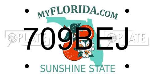 709BEJ Florida License Plate