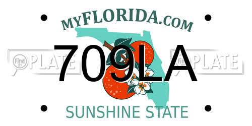 709LA Florida License Plate