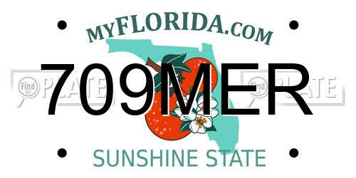 709MER Florida License Plate