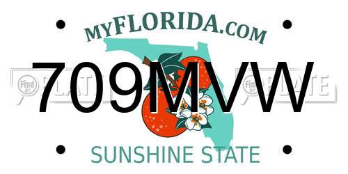 709MVW Florida License Plate