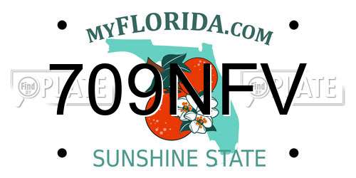 709NFV Florida License Plate