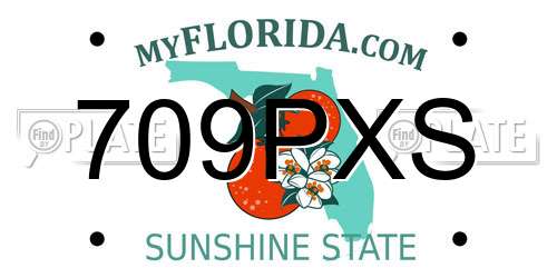 709PXS Florida License Plate