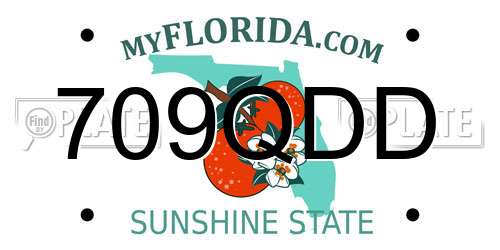 709QDD Florida License Plate