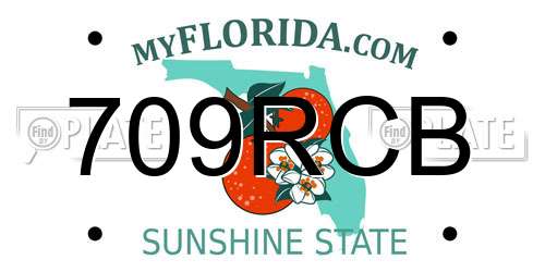 709RCB Florida License Plate