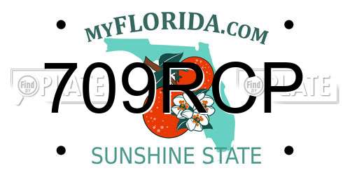 709RCP Florida License Plate