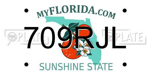 709RJL Florida License Plate