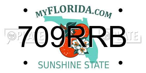 709RRB Florida License Plate