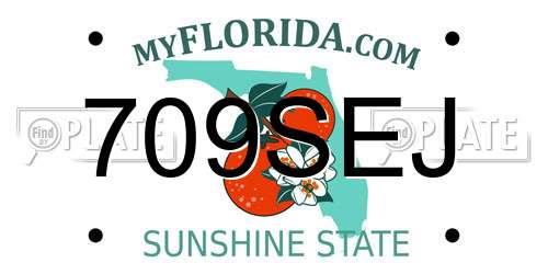 709SEJ Florida License Plate