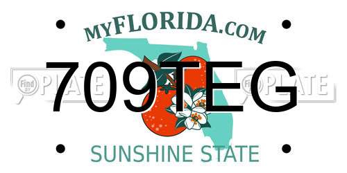 709TEG Florida License Plate