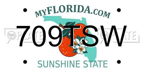 709TSW Florida License Plate