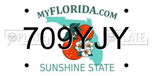 709YJY Florida License Plate