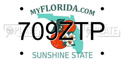 709ZTP Florida License Plate