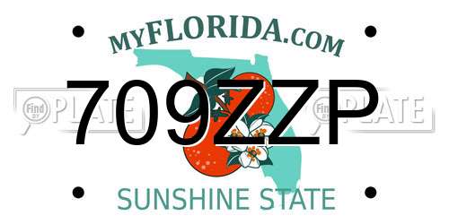 709ZZP Florida License Plate