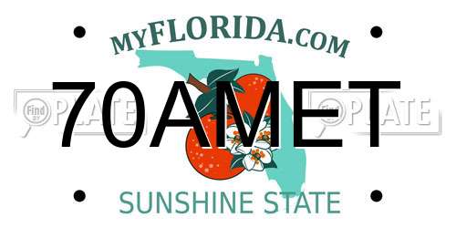 70AMET Florida License Plate
