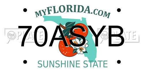 70ASYB Florida License Plate