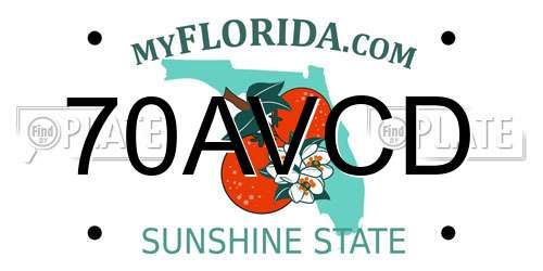 70AVCD Florida License Plate
