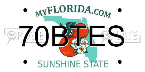 70BTES Florida License Plate